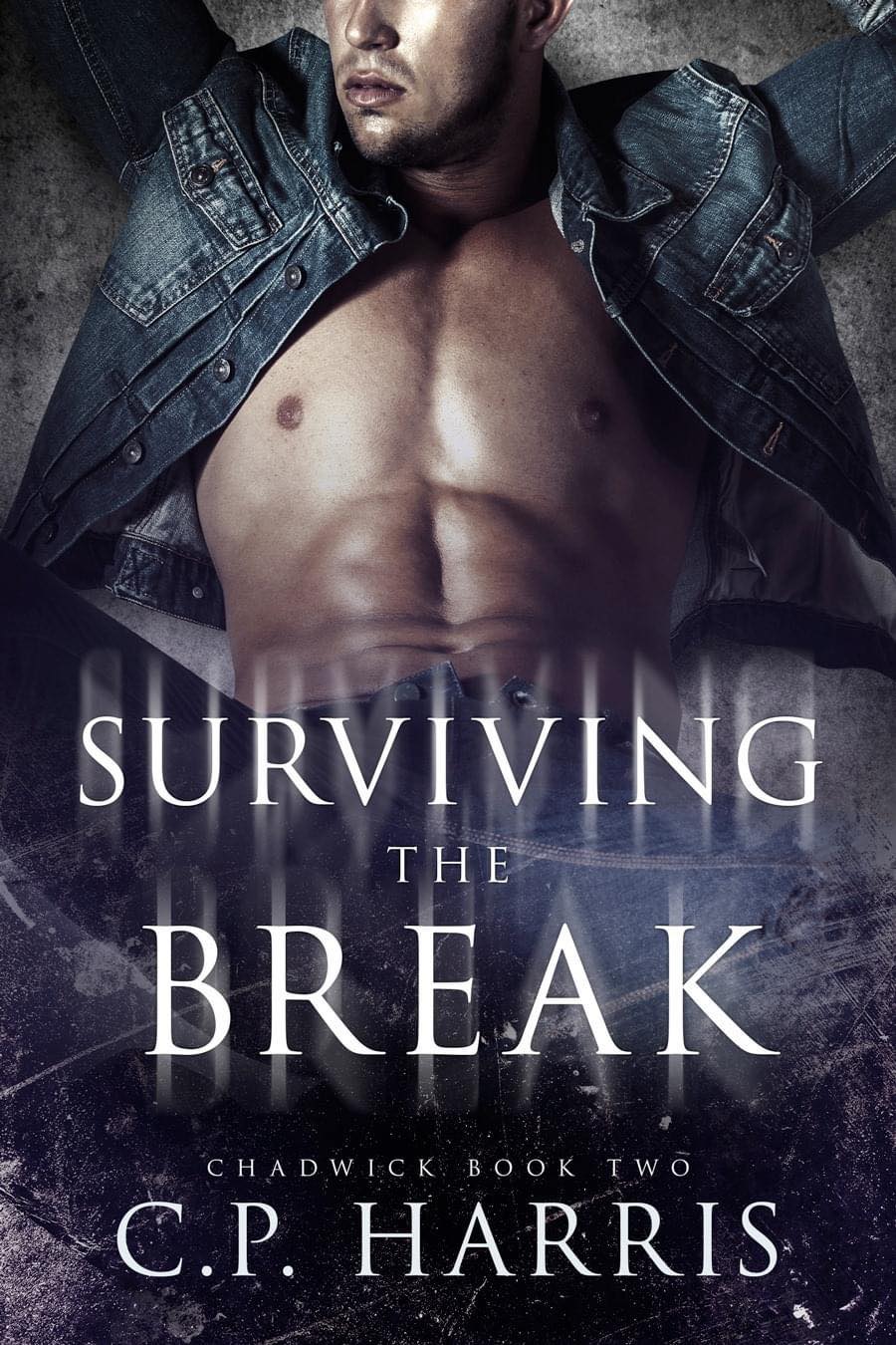 Surviving the Break Book 2