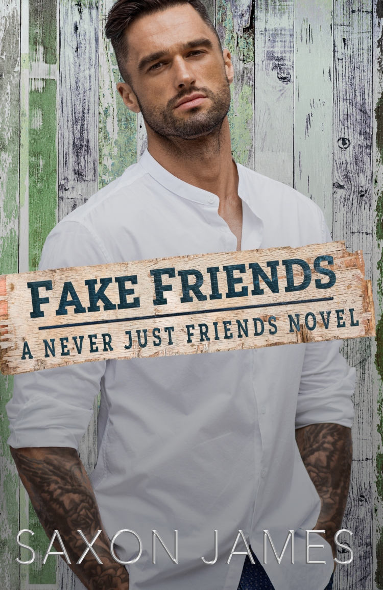 Fake Friends book 2 EBOOK just friends series
