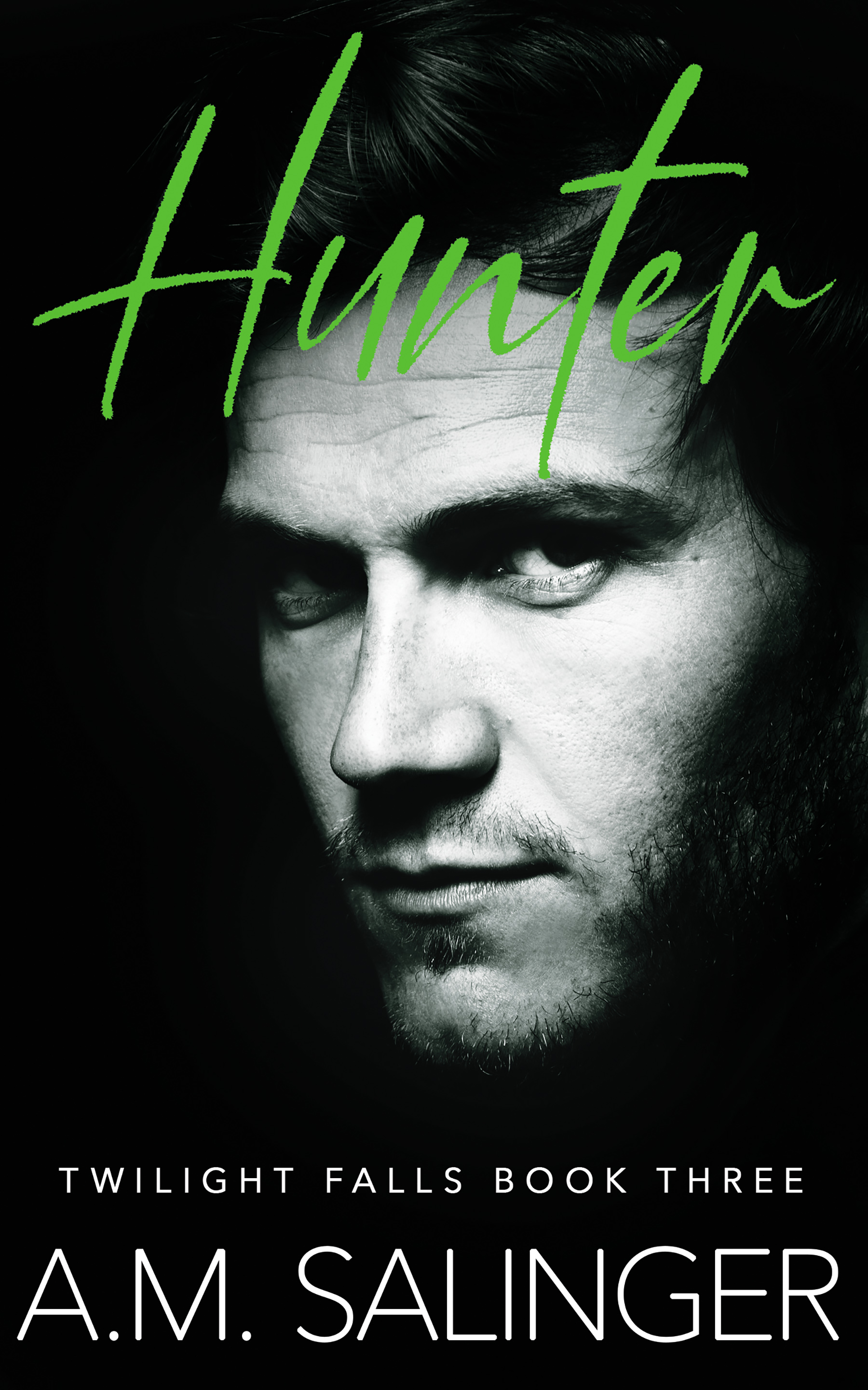 Hunter Book Six Twilight Falls 2023 FINAL Ebook cover