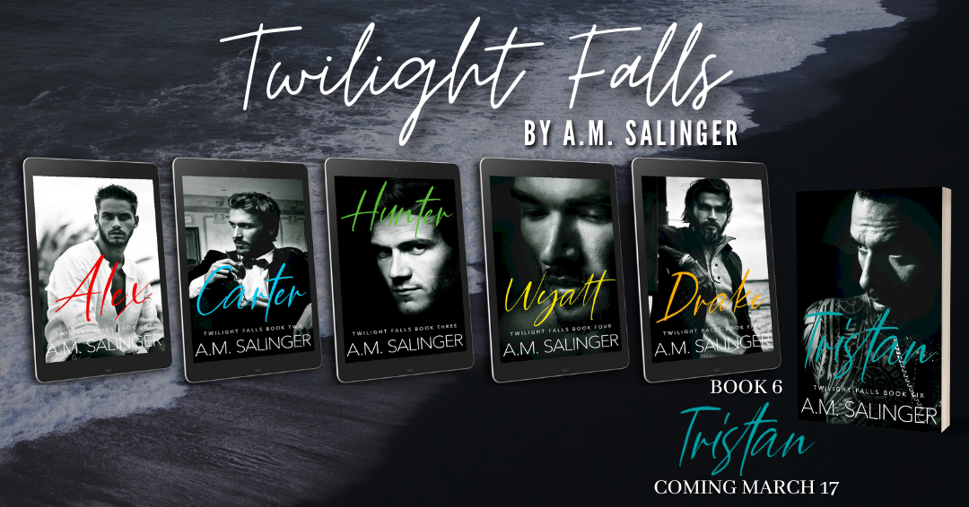 Twilight Falls Series Banner 4