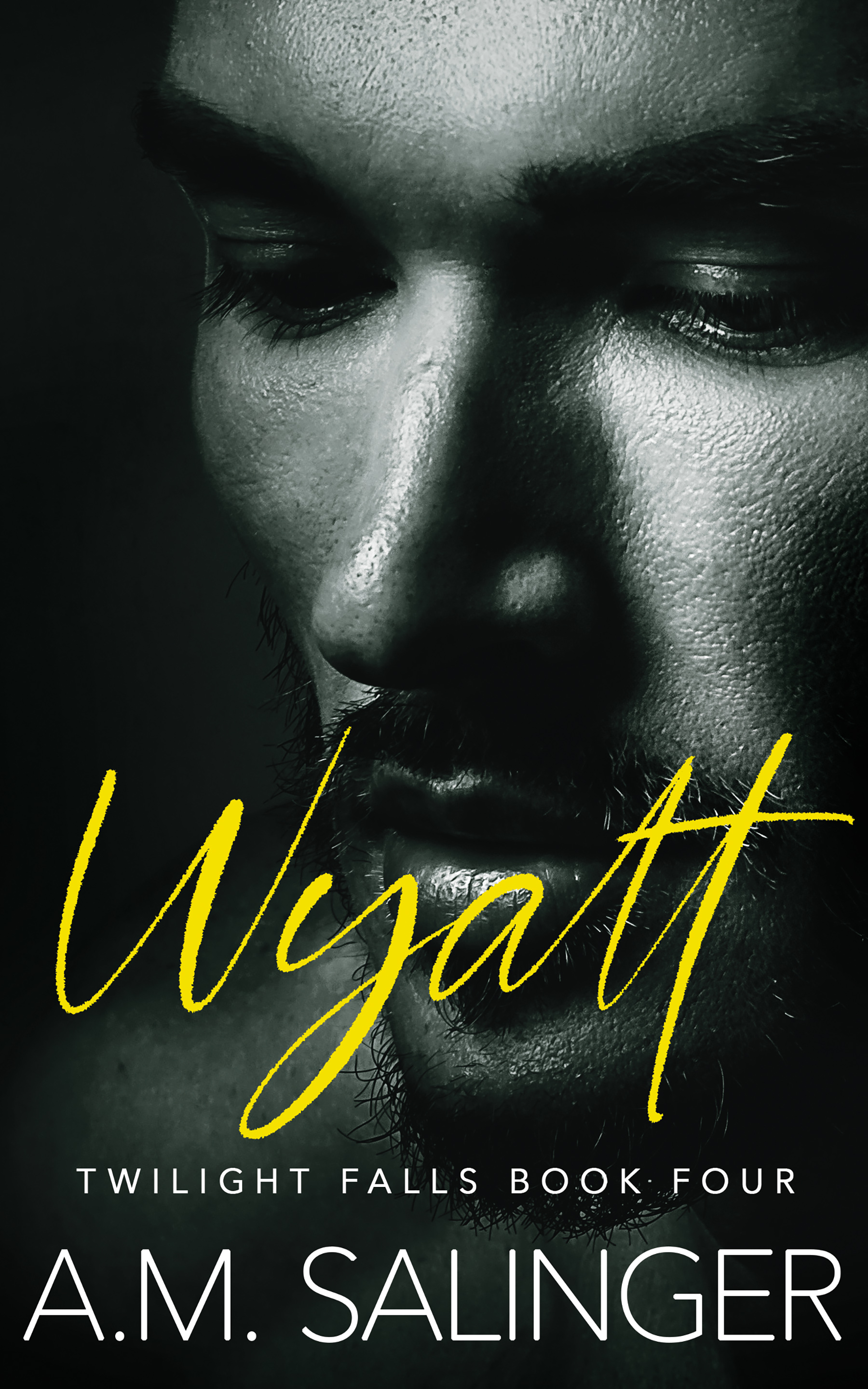 Wyatt Book Four Twilight Falls 2023 FINAL Ebook cover