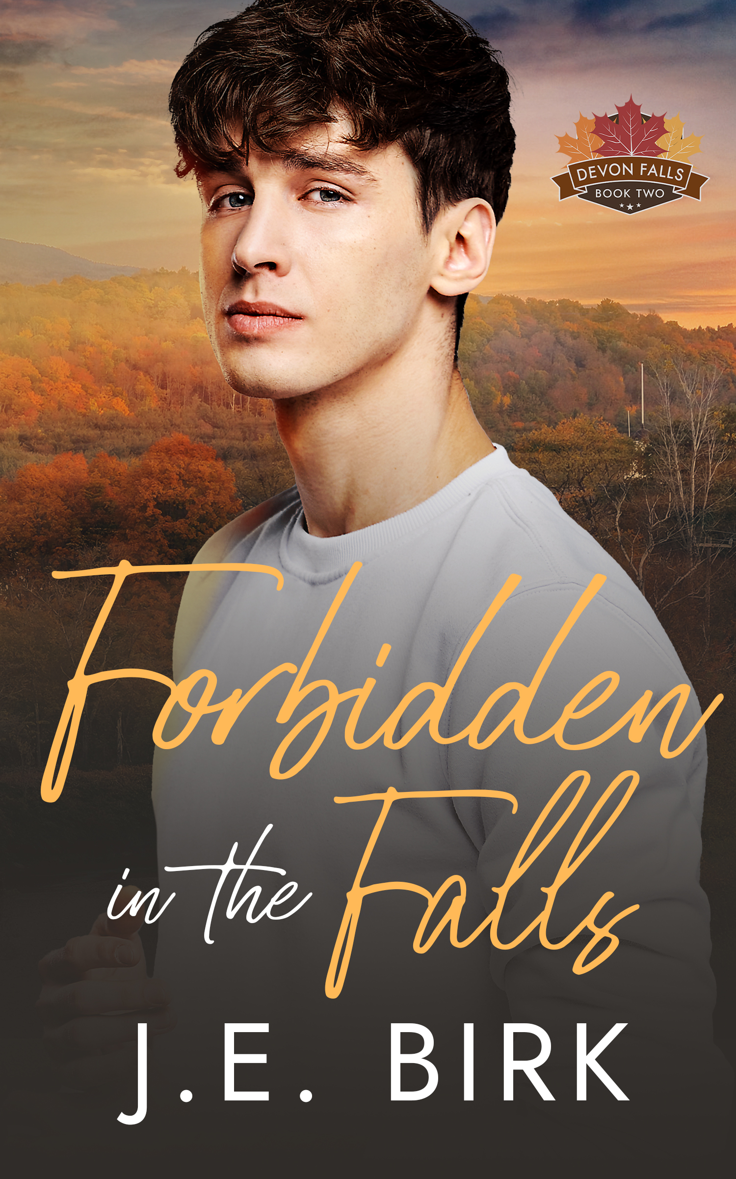 Forbidden in the Falls Cover